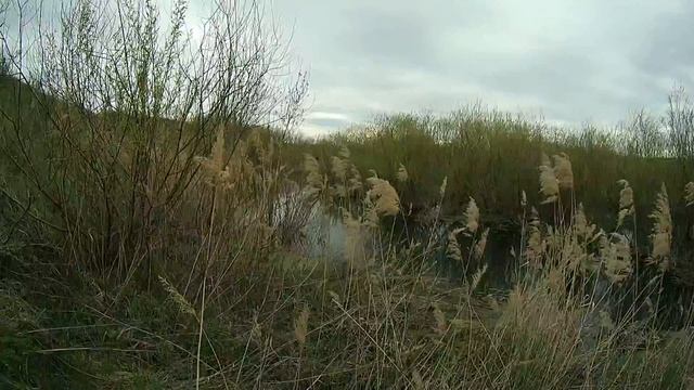 Велопрогулка вдоль оврагов смотреть онлайн