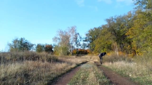заготовка чилиги2 смотреть онлайн
