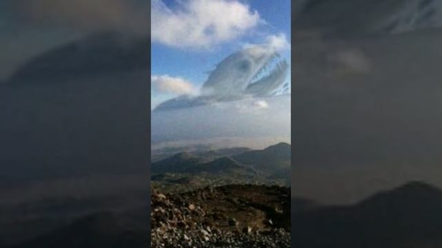 Монстры Тревора Хендерсона смотреть онлайн