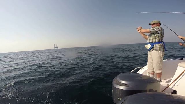 Deep sea fishing UAE. king mackerel( habbat ) 2015 смотреть онлайн