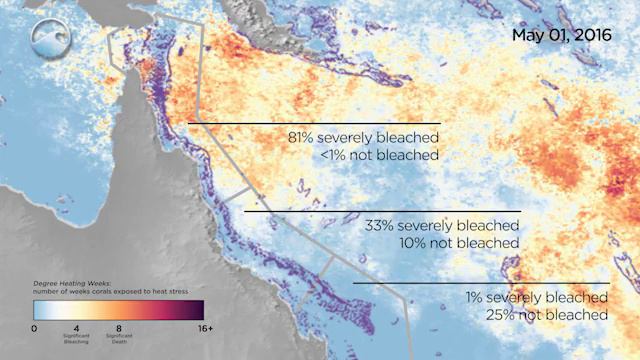 Ocean acidification смотреть онлайн