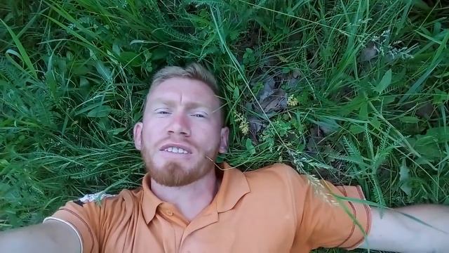 ХАЛЯВНЫЙ КОРМ для коз. смотреть онлайн