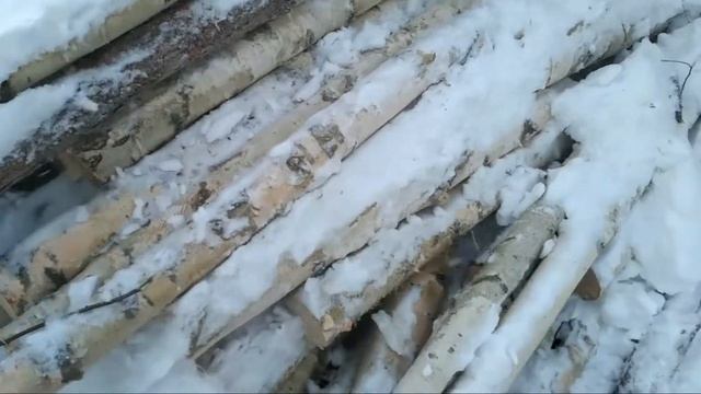 Дрова для котла из тонкомера. смотреть онлайн