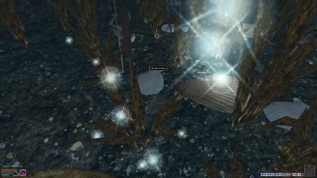 Morrowind (Vol. IV) - 21 - The Dreughs of Society смотреть онлайн