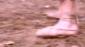 Король Кикбоксеров Тигр Каратэ 4 1990