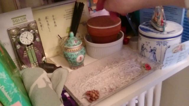 Ginko Seed Planting Part 3