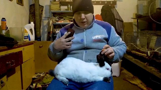 КАК Я ВЫБИРАЮ КРОЛИКОВ!!(памятка для начинающих) смотреть онлайн