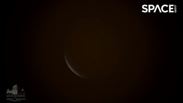 Watch the entire Beaver Moon lunar eclipse in 1 minute time-lapse смотреть онлайн