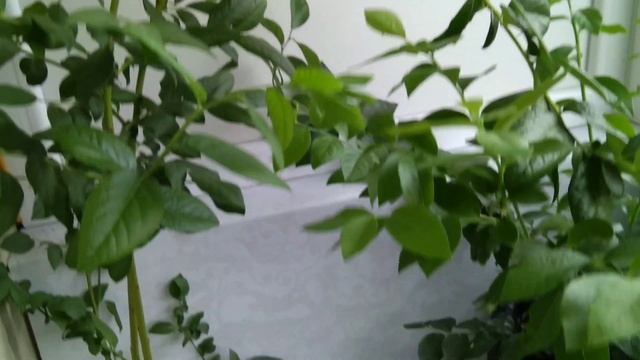 Строительные Изыски