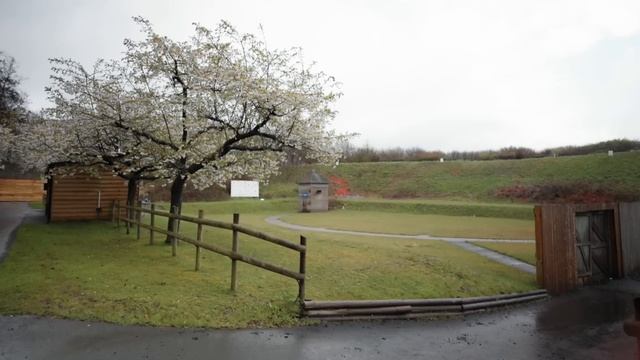 Krieghoff K80 Parcours Test & Review