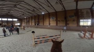 Конкурная тренировка от первого лица в КСК "Папирус" тренирует, МСМК Геннадий Гашибаязов.