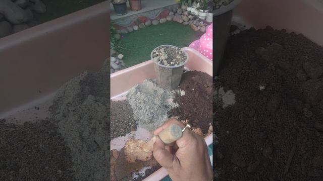 How to make rich soil for winter season plants смотреть онлайн
