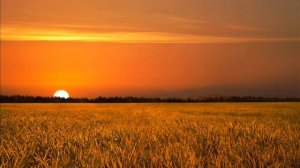 Летний вечер ("Последние лучи заката"), Блок А.