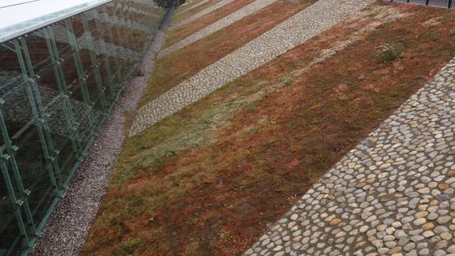 Осенняя пора. Позолота. Метро. Хельсинки. Финляндия смотреть онлайн