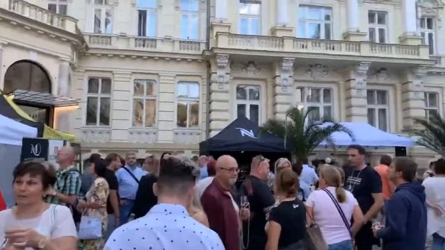 ЧЕХИЯ - КАРЛОВЫ ВАРЫ СЕГОДНЯ. Распродажа фарфора, и фольклорный фестиваль. смотреть онлайн