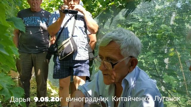 Виноград Дарья в гостях у Китайченко Луганск! смотреть онлайн