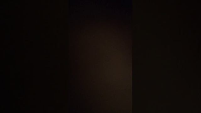 dimitar 0229 смотреть онлайн