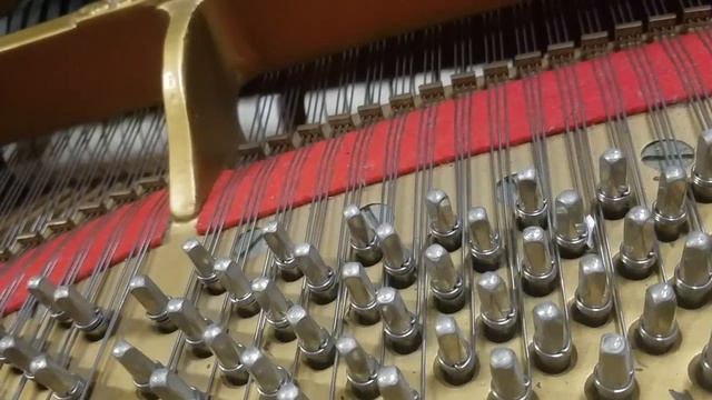 Day In The Life Of A Piano Tuner - Part 1 смотреть онлайн