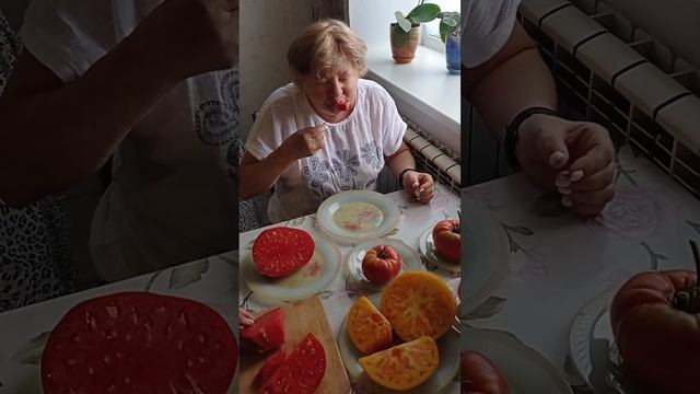 дегустация томата Огромное сердце красное смотреть онлайн