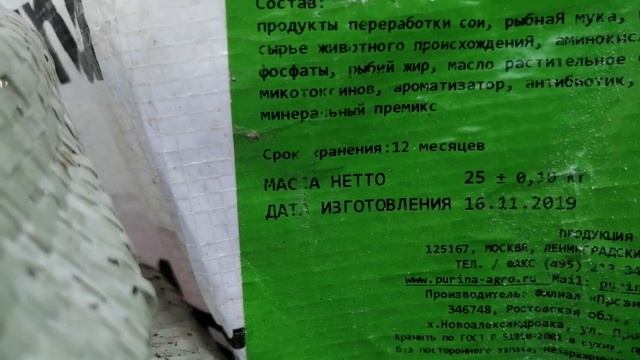 Дробленка для маленьких поросят. смотреть онлайн