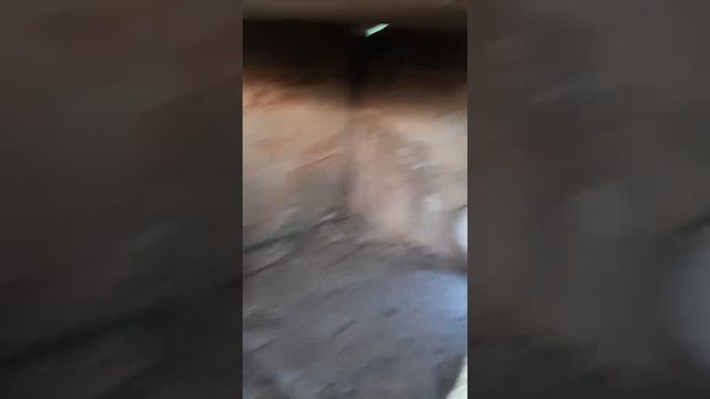 Дольмены в Геленджике смотреть онлайн