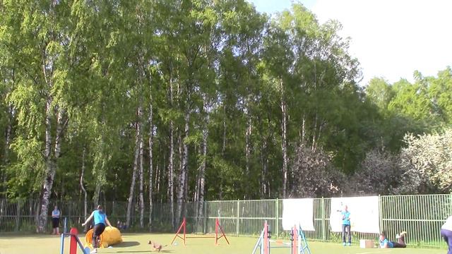 Команда "C ФКС 3"Чемпионат Северо-Западного Федерального Округа 14.05.16 смотреть онлайн