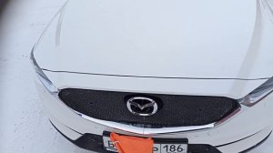 Зимняя защита радиатора Мазда сх 5.
