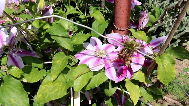 Крым 2020, летний сезон начинается. Судак ждет своих гостей смотреть онлайн