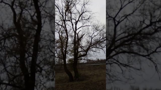 От зимы в полушаге (моё личное стихотворение) смотреть онлайн