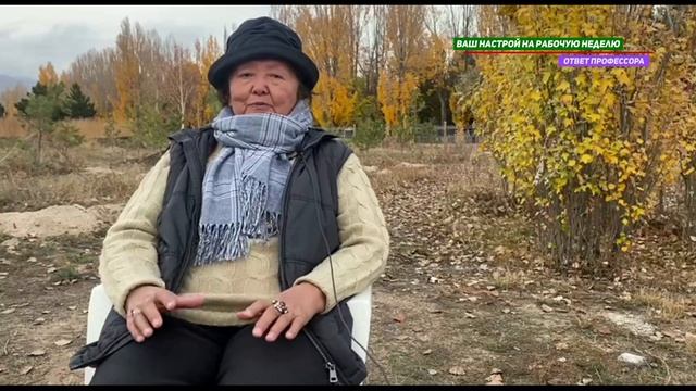 На работу надо ходить с удовольствием смотреть онлайн