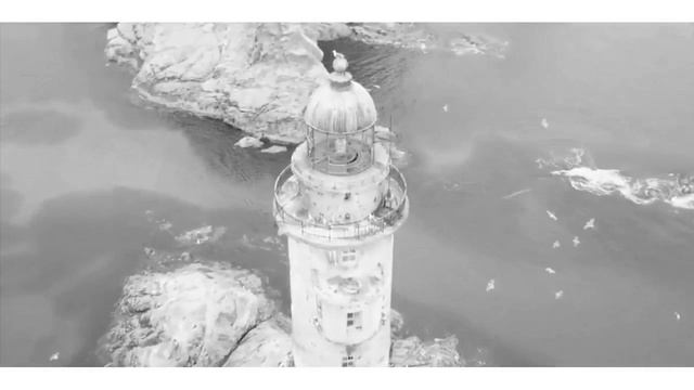 Electronic Dance Music