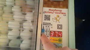 Ещё раз подробно об инкубации в блиц-72 норма.