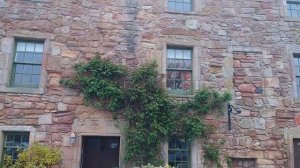 Крейл - романтика Северного моря в древнем шотландском городке и наглые рыжие котики