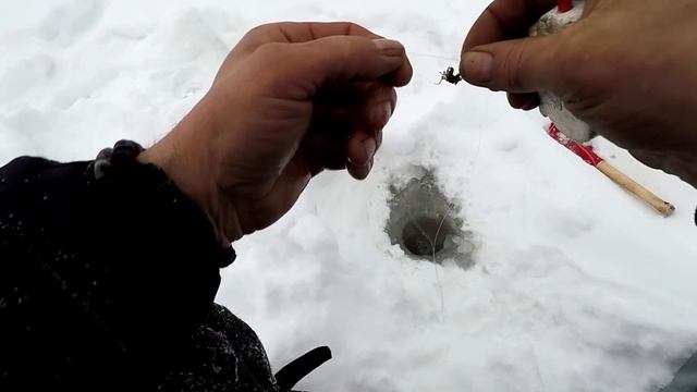 Рыбалка на озере! Ловля Окуня на Пикуль! Отличный Клёв в Глухозимье - часть Первая!