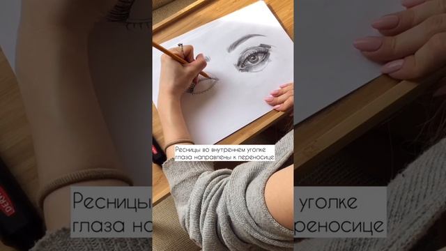 Рисуем ресницы. Бесплатный урок смотреть онлайн