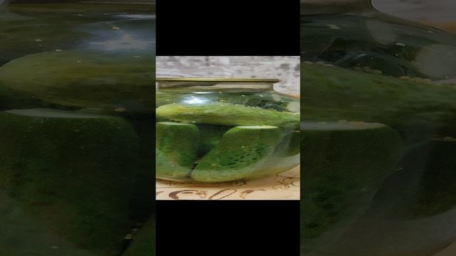 Агрофитнес без накипи гламура