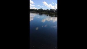 Лодка Ёрш под мотором 9.9 л.с.