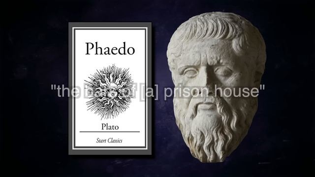 Nietzsche's Body: Health, Sickness, and Suffering смотреть онлайн