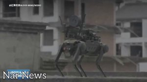 Китай показал, как боевая робособака с пулемётом на спине десантируется с дрона