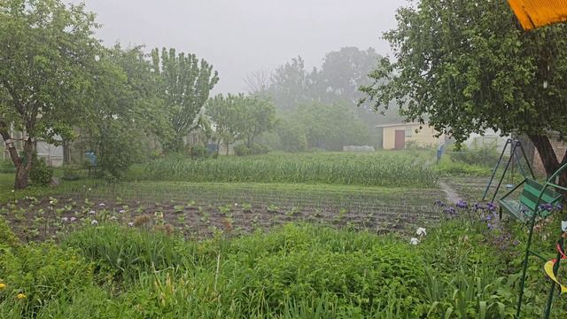 2 ИЮНЯ 2024 ГОД. УЖАСНЫЙ ЛИВЕНЬ ЗАТОПИЛ ВСЁ ВОКРУГ.