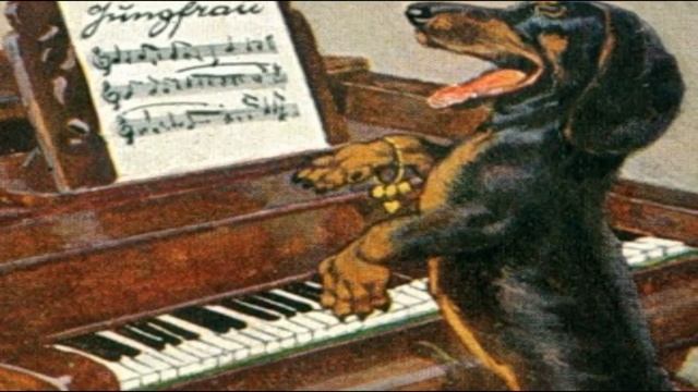 "ВЕСЁЛЫЕ СОБАКИ" (ШУТКА С СЮРПРИЗОМ) смотреть онлайн