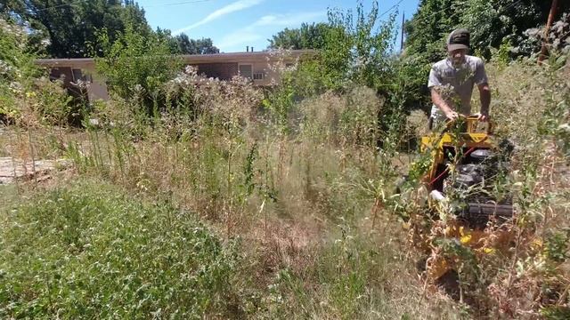 Neighbor can't REMEMBER the last time this lawn was cut смотреть онлайн