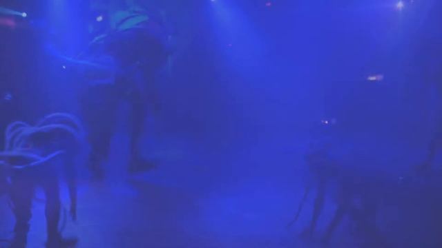 Марсианские пауки в клубе "Пещера" - экстремальная акробатика смотреть онлайн