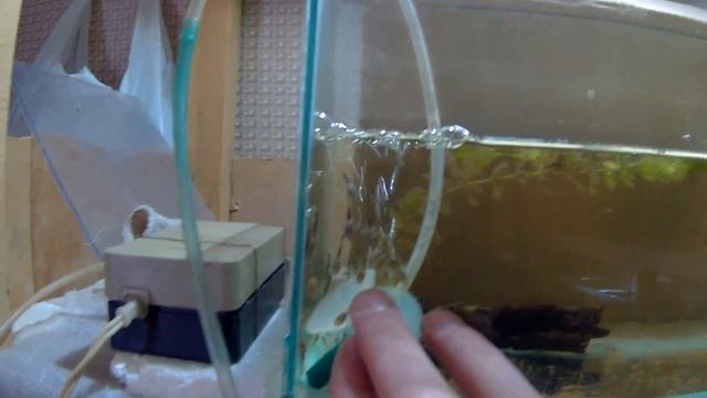 СУМКА ADIDAS! ТАРАКАТУМ! ВИДЕО С РАЗВОДНИ!!! смотреть онлайн