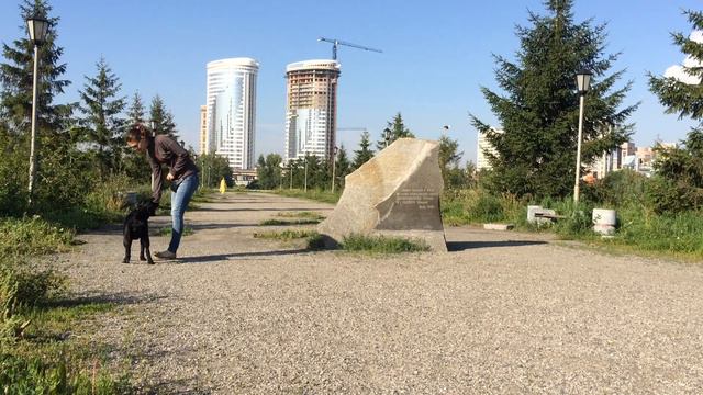 Лабрадор Черника 9 месяцев смотреть онлайн