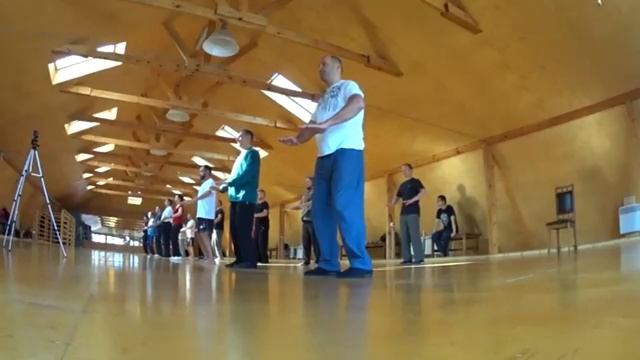 # 3 Семинар Ицюань мастера Цуй Жуйбиня в Москве 2017 год \Часть 3 Yiquan In Moscow Master Cui Ruibi