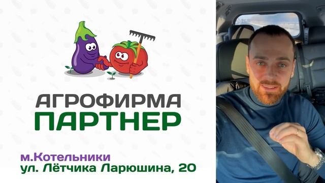 Посев перца сухими семенами смотреть онлайн