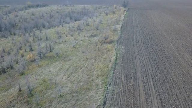 Полет перед копом с dji Mavik pro! смотреть онлайн