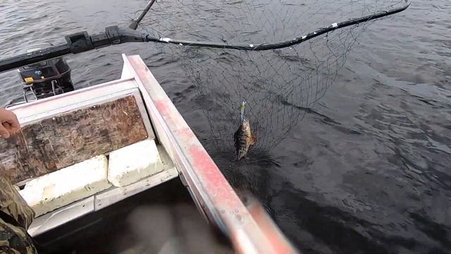 Природа Карелии, рыбачим и любуемся красотой Сегозера #ОтдыхКарелия #РыболовныйГид #Форель #Сегозер смотреть онлайн