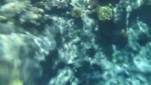 Лучи солнца в глубинах Красного моря. смотреть онлайн